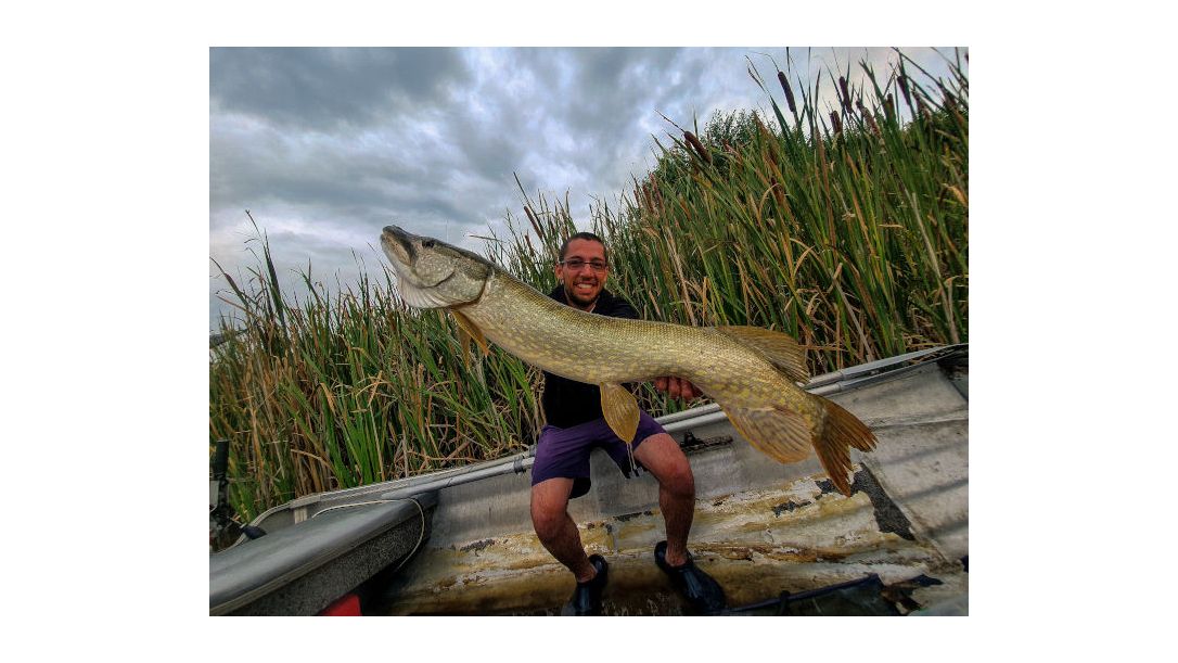 Сезонни особености и тактики за риболов на щука