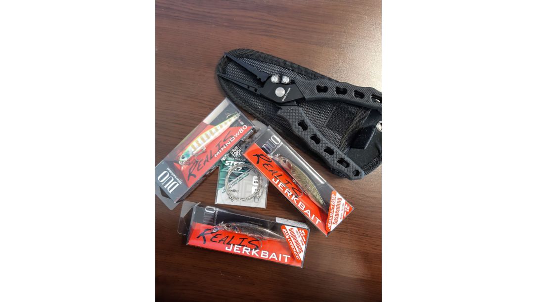 щукарски примамки DUO Realis