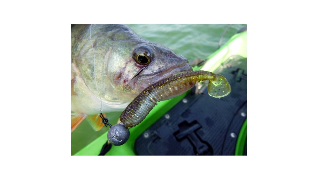 В очакване на есенния риболов