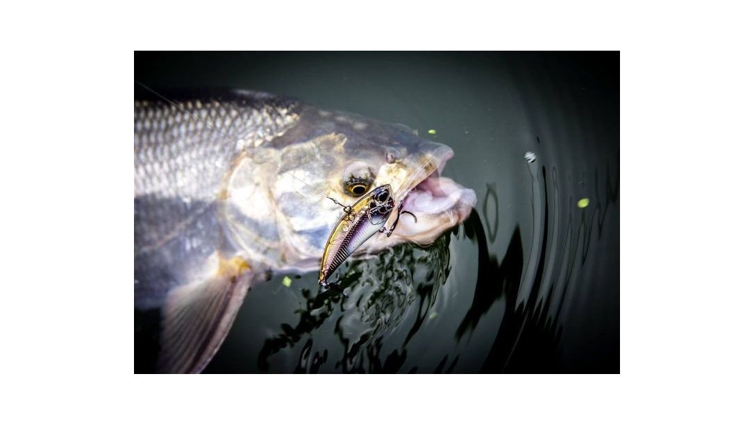 Распер уловен с вайб