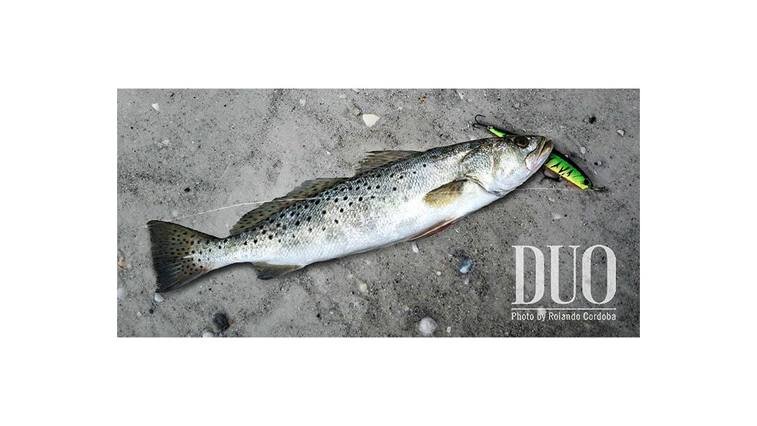 Защо Fire Tiger?