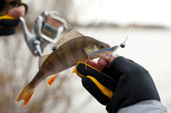 Костур на силикон