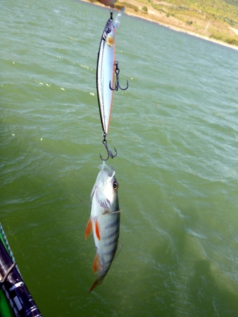 Лаком костур