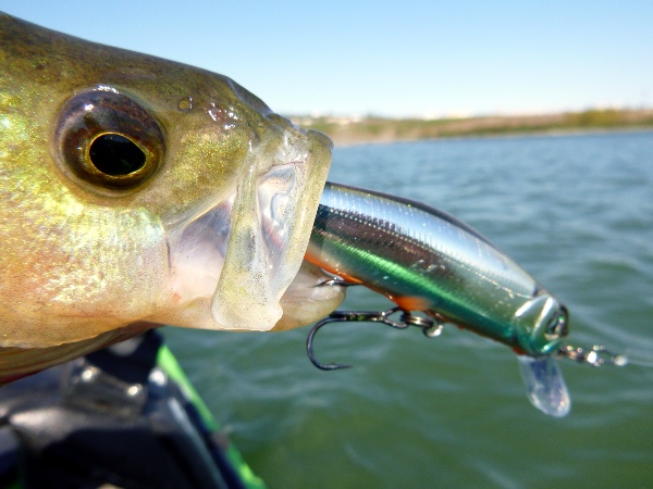 Костур и CrackJack