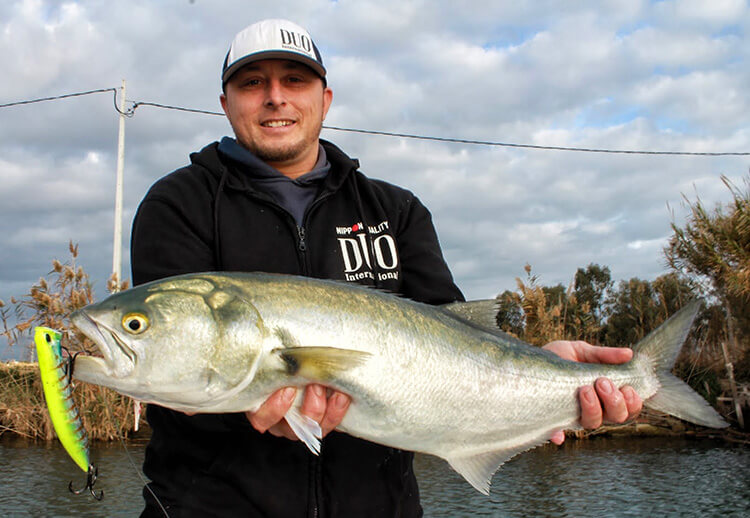 duorealispencilpopper