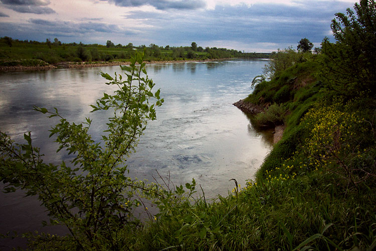 Типично местообитание на кефала