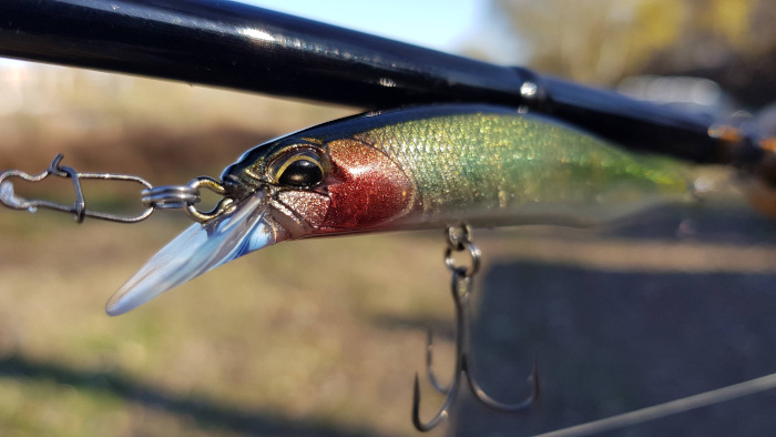 Realis Jerkbait 85SP в цвят CCC3313 Frisky Oikawa