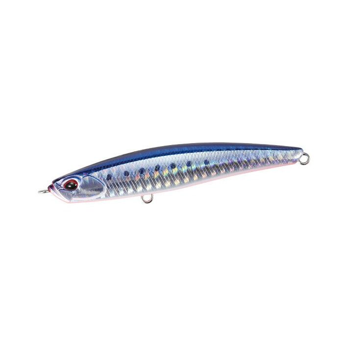 Bay Ruf Seek 85HW - AHA0087 Mazume Sardine