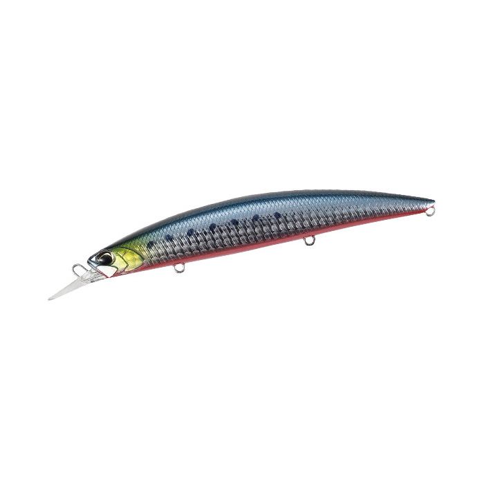 Beach Walker 120MD - ABA0030 Sardine RB
