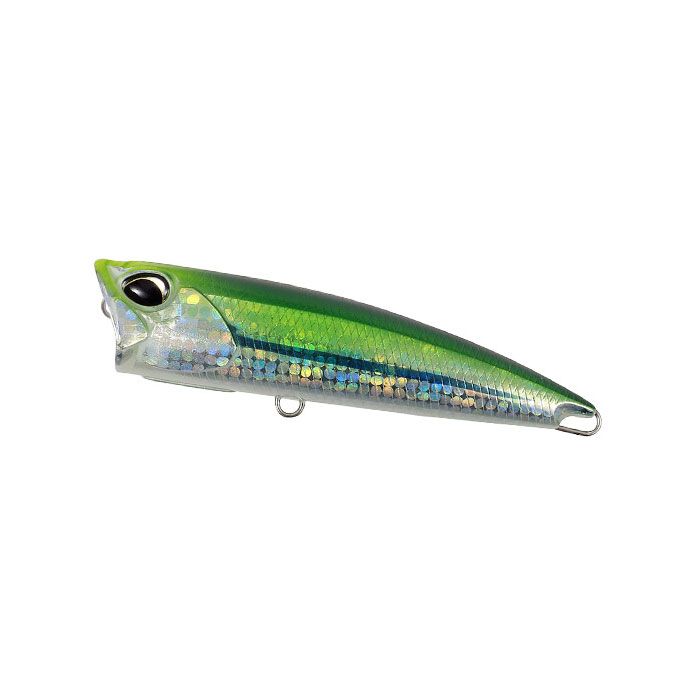 Realis Fangpop 120 SW Limited - AQAZ033 Chart Head Sayori