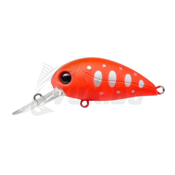 Hypnose 38F-MDR - R45 Fluored