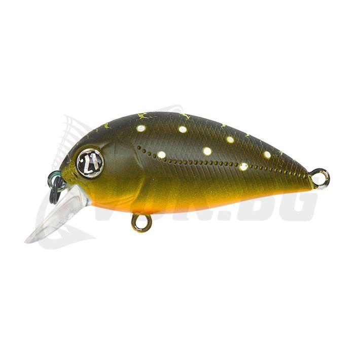 Hypnose 38F-SR - 314 Brook Trout Hypnose 38F-SR - 314 Brook Trout