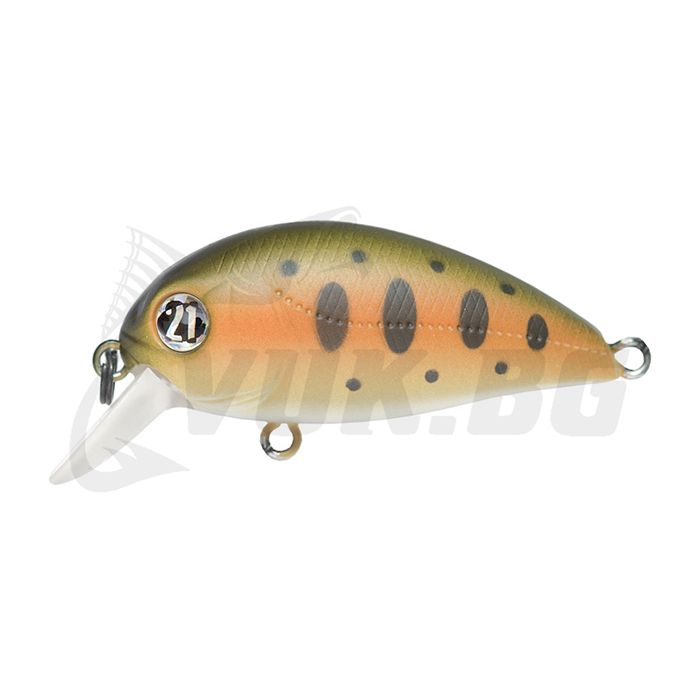 Hypnose 38F-SR - R02 Fade Yamame Hypnose 38F-SR - R02 Fade Yamame