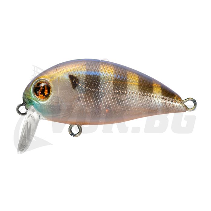 Hypnose 38F-SSR - 108 Ghost Gill Hypnose 38F-SSR - 108 Ghost Gill
