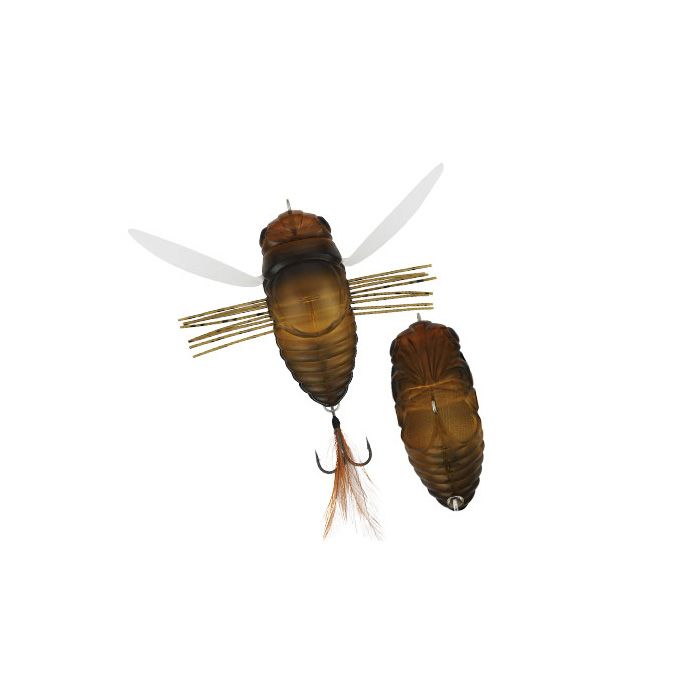 Realis Dekashinmushi - CCC3203 Semigara