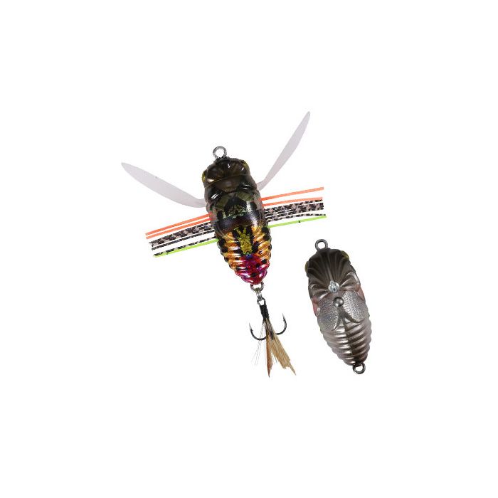 Realis Shinmushi - CCC3233 Sunset Moth Realis Shinmushi - CCC3233 Sunset Moth
