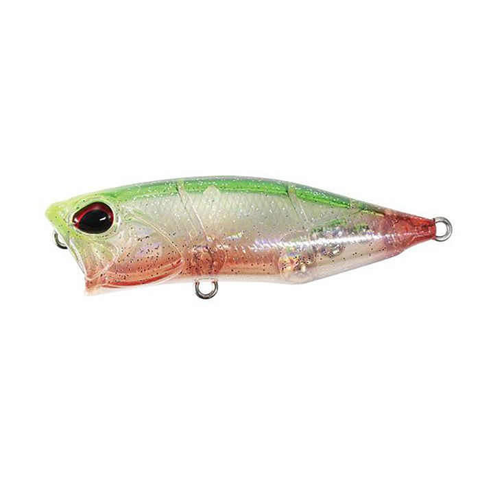 Realis Popper 64 SW Limited - CLA0659 Chinu Ghost Bait Realis Popper 64 SW Limited - CLA0659 Chinu Ghost Bait