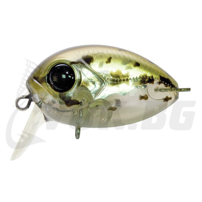 Red Rag 36F-SSR - 852 MI Black Bass Red Rag 36F-SSR - 852 MI Black Bass