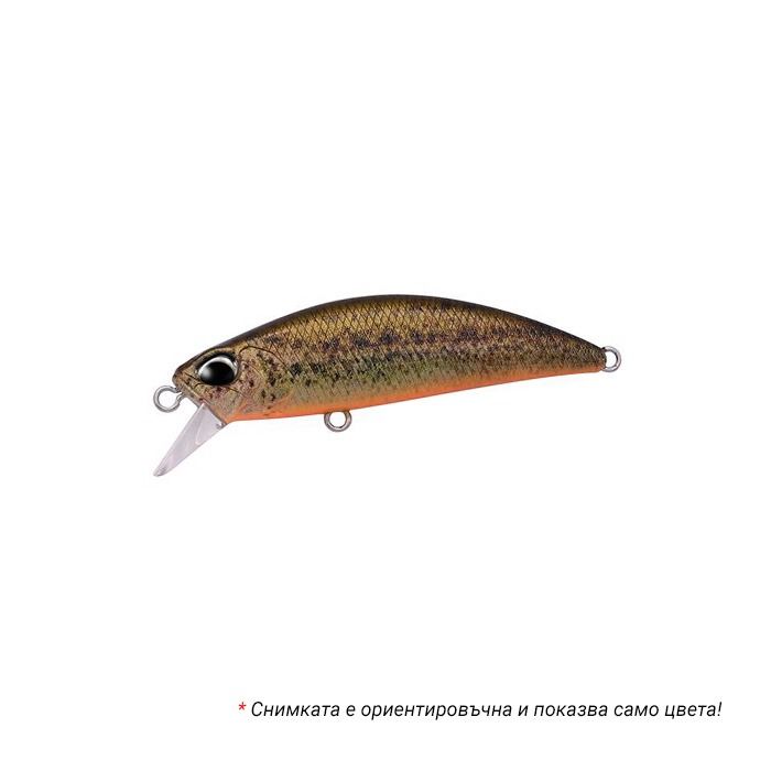 Spearhead Ryuki 70S - CCCZ215 RP Yellow Loach