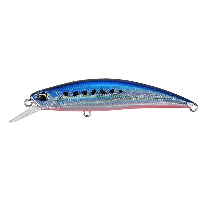 Spearhead Ryuki 70S SW LIMITED - SMA0067 Flash Mazume Sardine