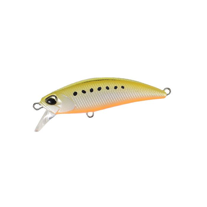 Tetra Works Toto 48HS - AST0333 Golden Sardine Tetra Works Toto 48HS - AST0333 Golden Sardine