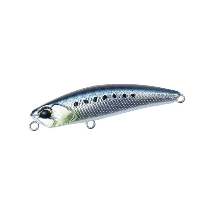 Tetra Works Yurameki - AHA0011 Sardine Tetra Works Yurameki - AHA0011 Sardine