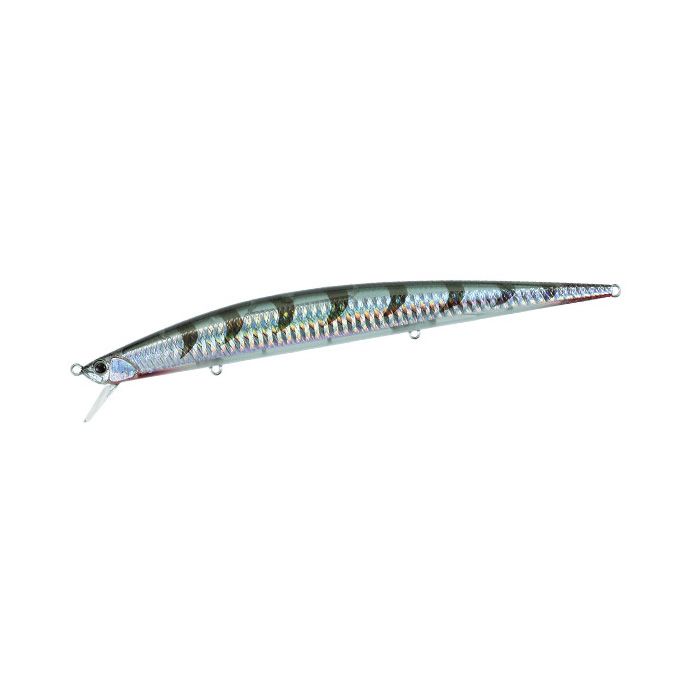 Tide Minnow Slim 175 - GHN0331 Barracuda HD Tide Minnow Slim 175 - GHN0331 Barracuda HD