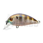 Hypnose 38F-SR - 108 Ghost Gill