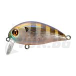 Hypnose 38F-SSR - 108 Ghost Gill