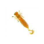 Larva Lux 1.6 в цвят 009 Gold Amber