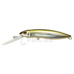 Moby Dick 120F-DR - R60 Silver Back OB