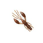 Fanatik Raider 2.2 - 006 Green Pumpkin Brown
