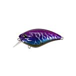Realis Apex Crank 66 Squared - CCC3272 AM Magic