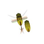 Realis Dekashinmushi - CCC3202 Haruzemi