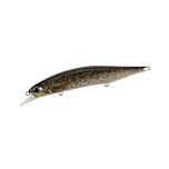 Realis Jerkbait 120SP PIKE Limited в цвят CCC3815 Brown Trout ND