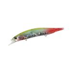 Realis Jerkbait 120SP SW LIMITED - CDH0186 Bleeding Anchovy