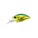 Realis Crank 48MR KABUKI Bottom Rush - ADA3185 Itako Green Gold