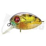 Red Rag 36F-SR - 837 MI Gold Perch