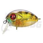 Red Rag 36F-SSR - 837 MI Gold Perch