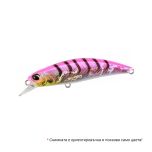 Spearhead Ryuki 80S SW LIMITED - ADA0218 Pink Gigo