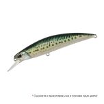 Spearhead Ryuki 80S SW LIMITED - ANA0489 Real Mackerel