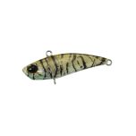 Tetra Works Bivi - CTA0375 Tiger Shrimp