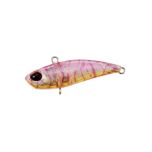 Tetra Works Bivi - CTA0389 Sakura Shrimp