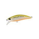 Tetra Works Toto 48HS - AST0333 Golden Sardine