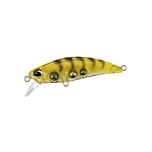 Tetra Works Toto 48HS - CCC0312 Gold Shrimp