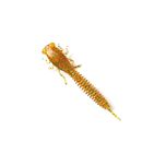 X-Larva 2.0 в цвят 009 Gold Amber