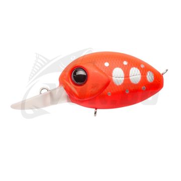 Baby Red Rag 32F-MDR - R45 Fluored