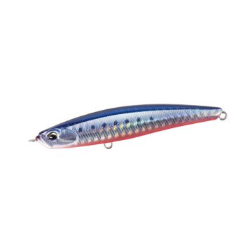 Bay Ruf Seek 85S - AHA0087 Mazume Sardine