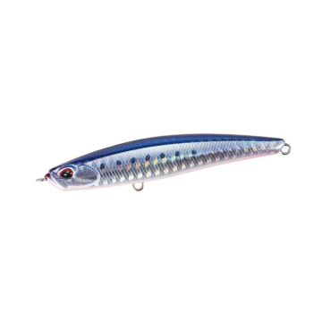 Bay Ruf Seek 85HW - AHA0087 Mazume Sardine