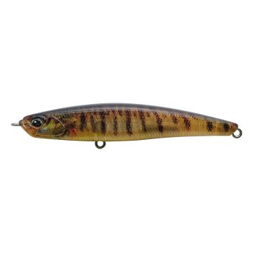 Bay Ruf Seek 85S FW Under Walker - CCC3396 Logperch Bay Ruf Seek 85S FW Under Walker - CCC3396 Logperch